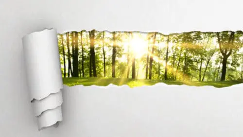 Read more about the article Paper, Climate Change and Common Sense