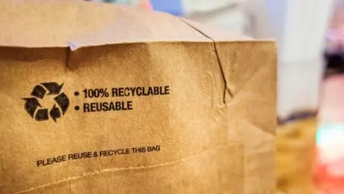 Read more about the article From Plastic to Paper: The Eco-Conscious Evolution of North American Packaging Trends