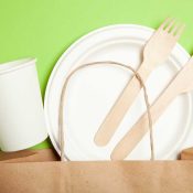 Eco Friendly Plates and Utensils Eco Friendly Plates and Utensils