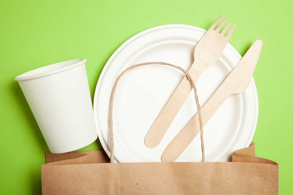Eco Friendly Plates and Utensils